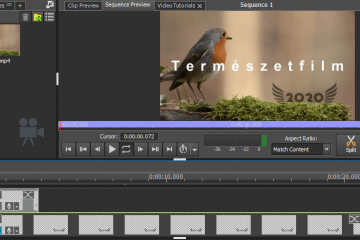 Hogyan kell videót készíteni, vágni? Egy részletes útmutató!