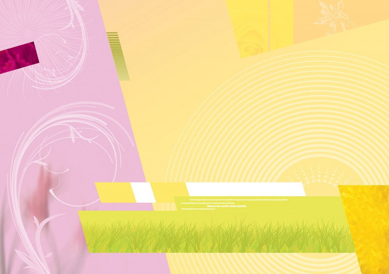 Mire figyeljünk oda arculattervezésnél? Tippek, és tanácsok mindenkinek!